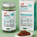랩솔루션