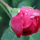 국우석한의원 이미지