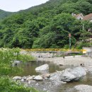 들살이오토캠핑장 이미지