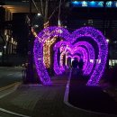 백석주공그린빌아파트(1차) 이미지