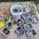 갈산종합사회복지관 이미지