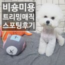 트리밍매직