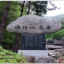 보성 제암산(정상 807M) ,사자산,철쭉꽃,녹차밭 이미지