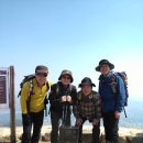 유재상 카카오 검색결과