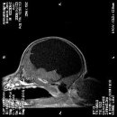 한빛동물병원 이미지