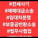 성심법무사성심부동산 이미지