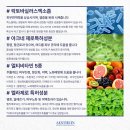아미고에스테틱 이미지