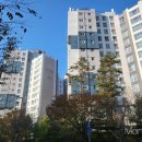 포레스타1공인중개사사무소 이미지