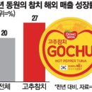 인기참치 이미지