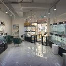 펫퍼스트 24시 강아지분양고양이분양 용인점 이미지