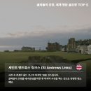 TOP골프연습장 이미지