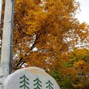 산속농원 이미지