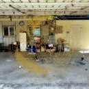 대월목장 이미지