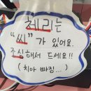 판다탕후루 대구율하점