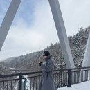 스트라이크 | 발렌시아가 스트라이크 컴뱃부츠 실착 후기