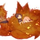꼬루