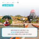 대도 어촌체험휴양마을 이미지