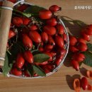 효자요양병원 | 효자재가장기요양센터 부산 요양원 추천