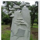 돈키호테-무식한 소 이미지