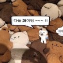 드림컴퍼니 이미지