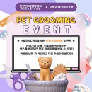 스텔라애견미용학원