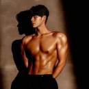 해머 플러스 이미지