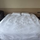 프롬에이치 더베스트호텔 제주성산점 | 제주 성산 가성비 숙소 프롬에이치 더베스트 호텔 제주성산점