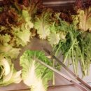 현미식당 이미지