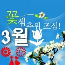 현대실사