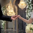 호텔솔루션 | W12. 센텀프리미어호텔 웨딩 본식 아이폰스냅 후기(솔루션웨딩💍)