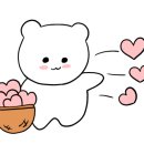 나이스케이스 이미지