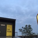 클럽더독스 이미지