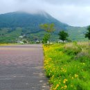 북면생태공원(다목적광장) 이미지