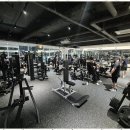 피트니스 엘 이미지