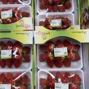 소소오늘 제주 커플 감성숙소 이미지