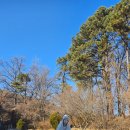 천주섭리수녀회 이미지