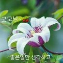 서금상사 이미지