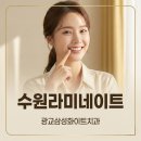 메이저치과기공소 네이버블로그