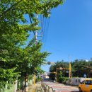 신실 어린이집 이미지