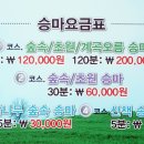 에코승마아카데미 이미지