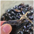 진동사거리식당 이미지