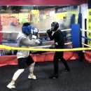 인복싱클럽 이미지