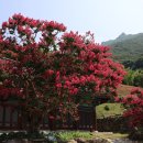 표충사 티스토리