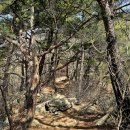 주상임실회관앞 | 순창 용궐산하늘길-섬진강매화꽃길-내룡마을 요강바위-초연당 매원 여행기록