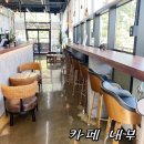 제주애견카페왈 사계점 | 제주애견카페왈사계점 (유치원,호텔,교육 솔직후기)