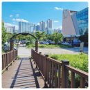 몰리스펫샵 이마트광교점 이미지