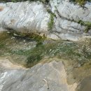 전재원공인중개사사무소 이미지