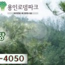 기독교로뎀 이미지