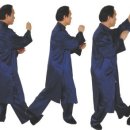 이찬태극권도관 동아일보