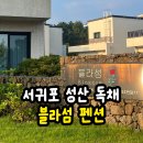 성산펜션 | 성산 펜션 후기, 서귀포 블라섬펜션 대가족 루피니스 1박2일 숙박 리뷰